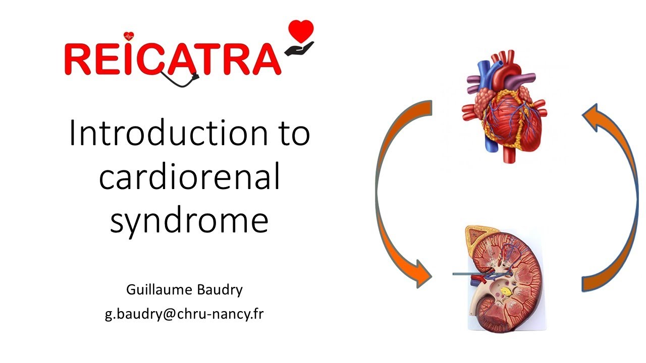 39- Introduction au syndrome cardio-rénal  - Guillaume Baudry