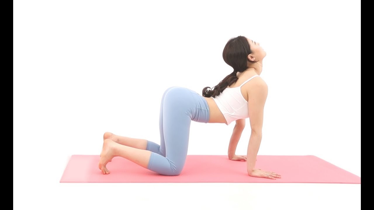 황아영의 [처음만나는 요가] 척추질환에 효과적인 소 고양이 자세