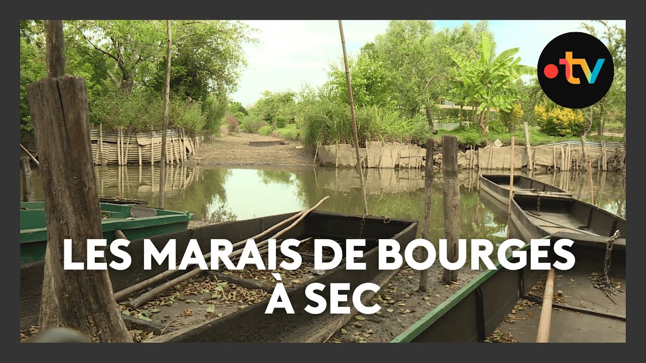 Marais de Bourges : après les inondations, la sécheresse frappe