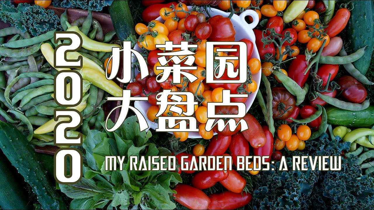 2020年小菜园大盘点    MY RAISED GARDEN BEDS 2020: A REVIEW (中英文字幕、CHINESE & ENGLISH SUBTITLES)