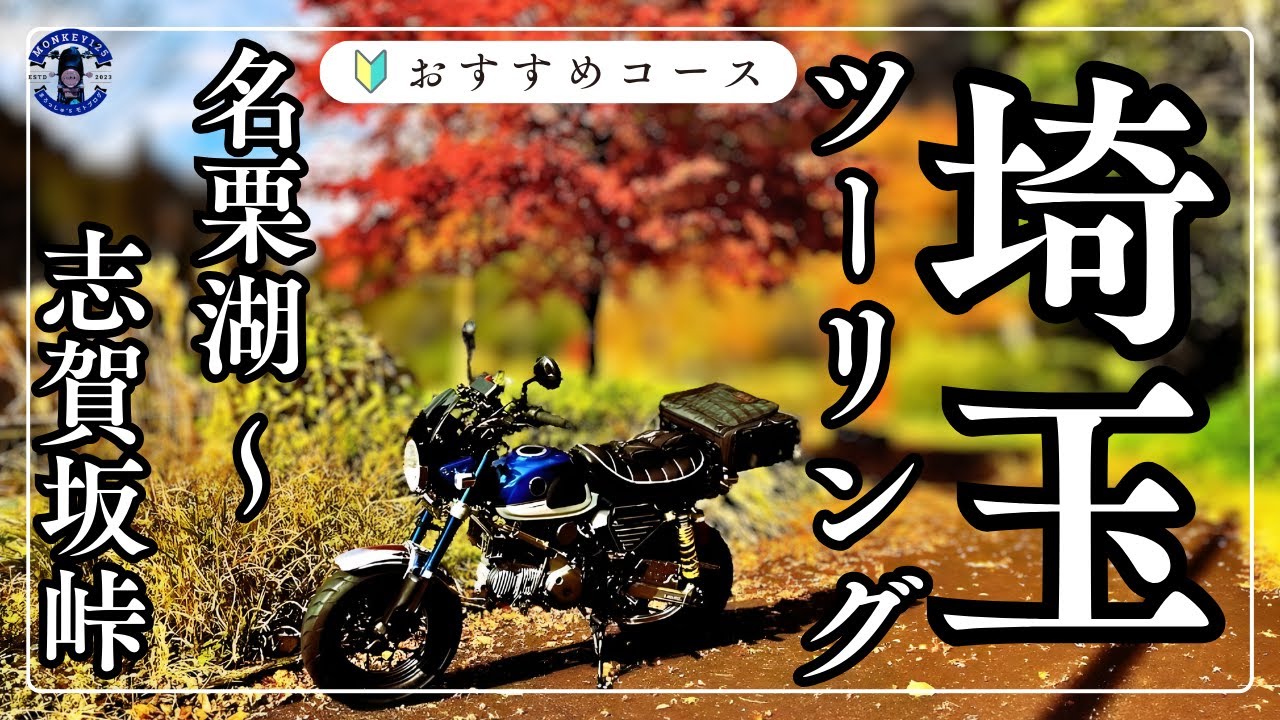 【モンキー125】名栗湖～県道53号線～志賀坂峠 初心者も走りやすい埼玉おすすめツーリングコース【紅葉】#モンキー125 #埼玉ツーリング #バイク初心者