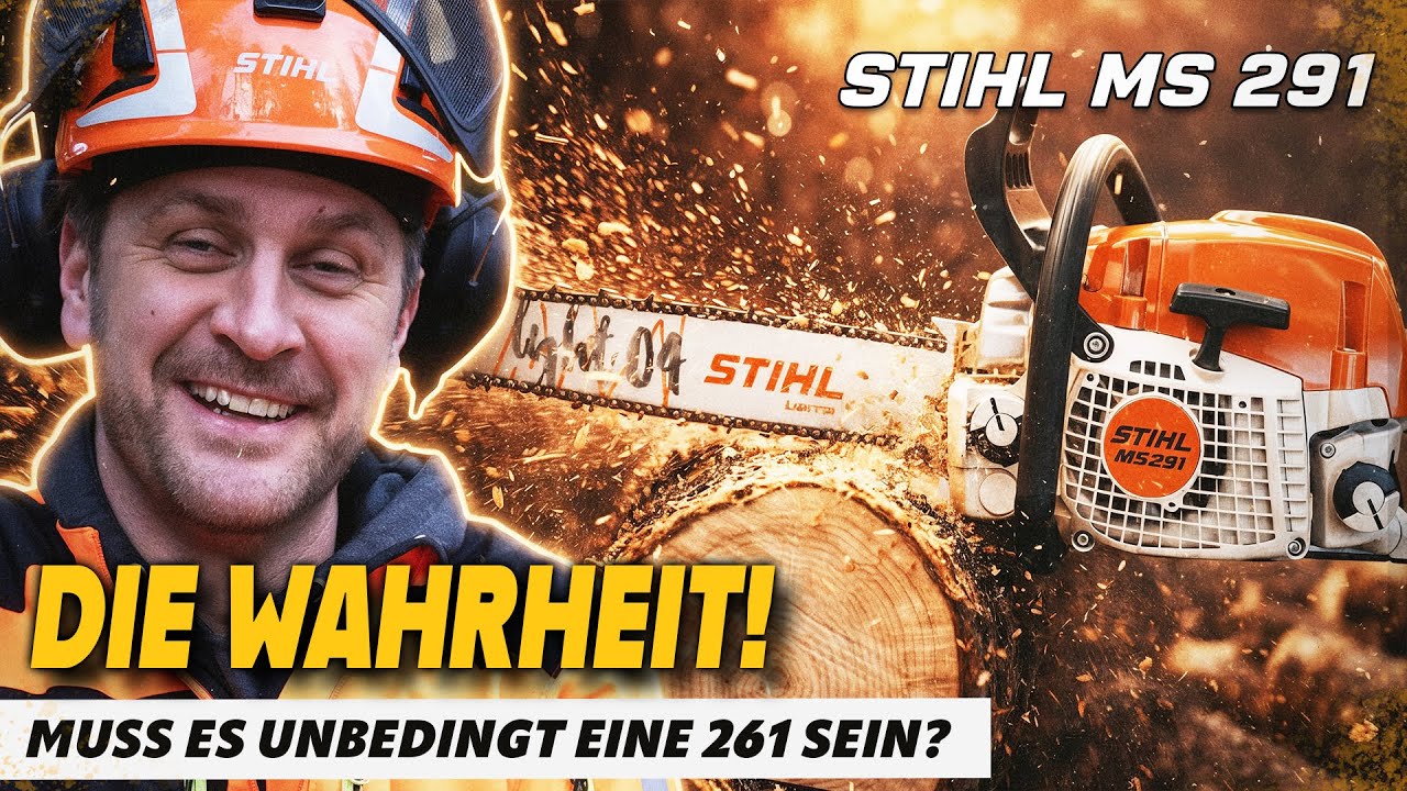 STIHL MS 291: Mehr als erwartet? Waldtest & ehrliches Fazit