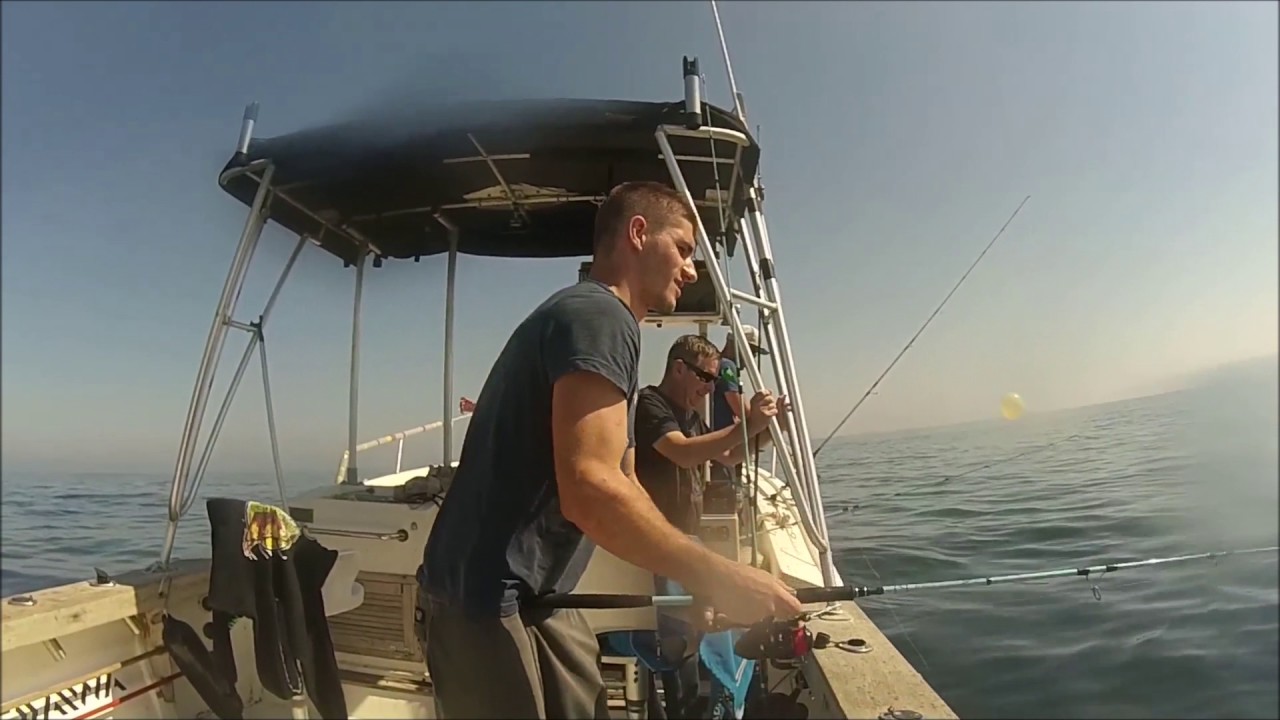michael jaulard . guide de peche en mer arcachon