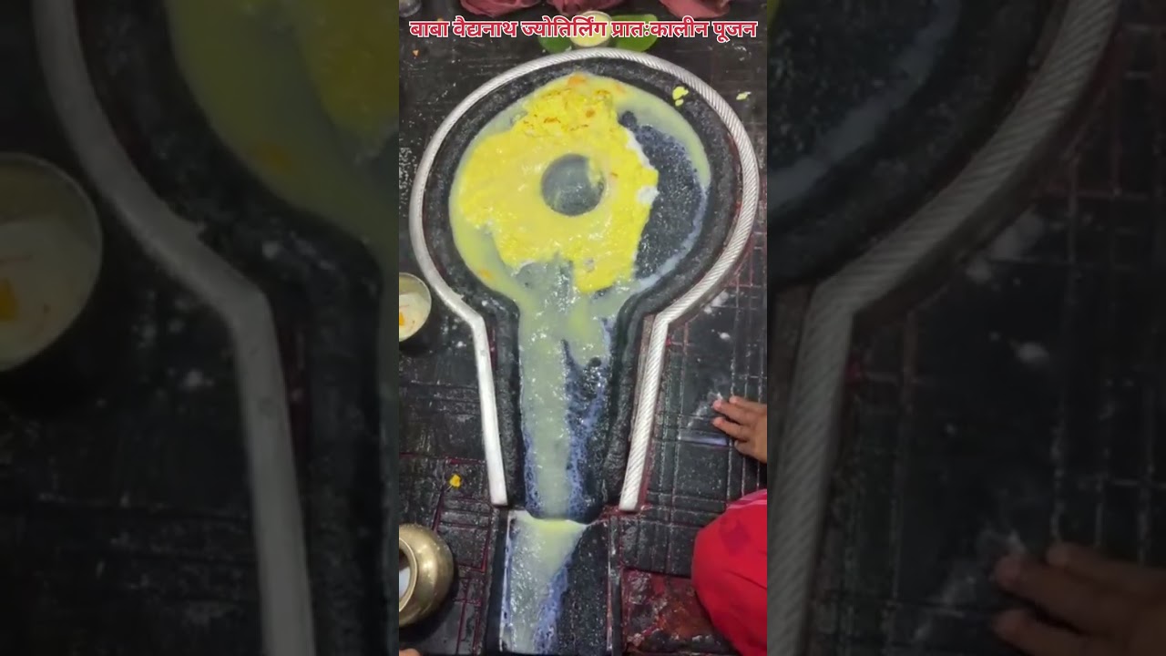 🌺🌿⚘️ बाबा वैद्यनाथ ज्योतिर्लिंग प्रातःकालीन पूजन 🌺🌿⚘️ 4/2/2026 #deoghar #babadham #bholenath #viral 