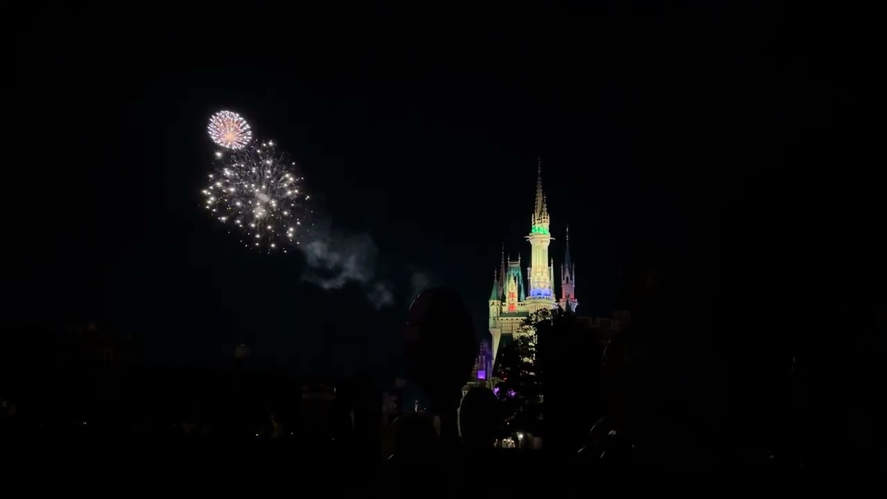 スカイ・フル・オブ・カラーズ 2025.01.30 東京ディズニーランド 花火の記録動画