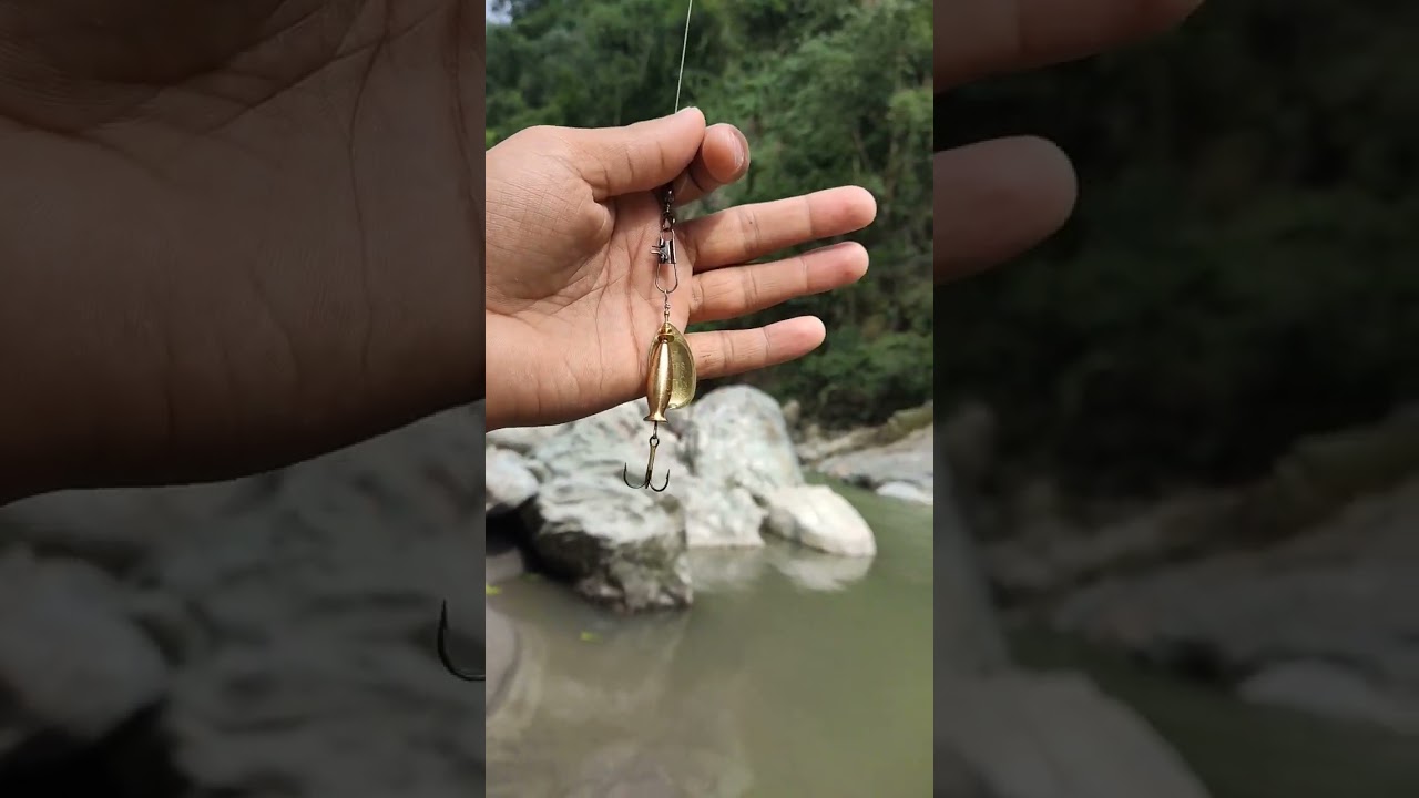 #trending #fishing #mahseer
