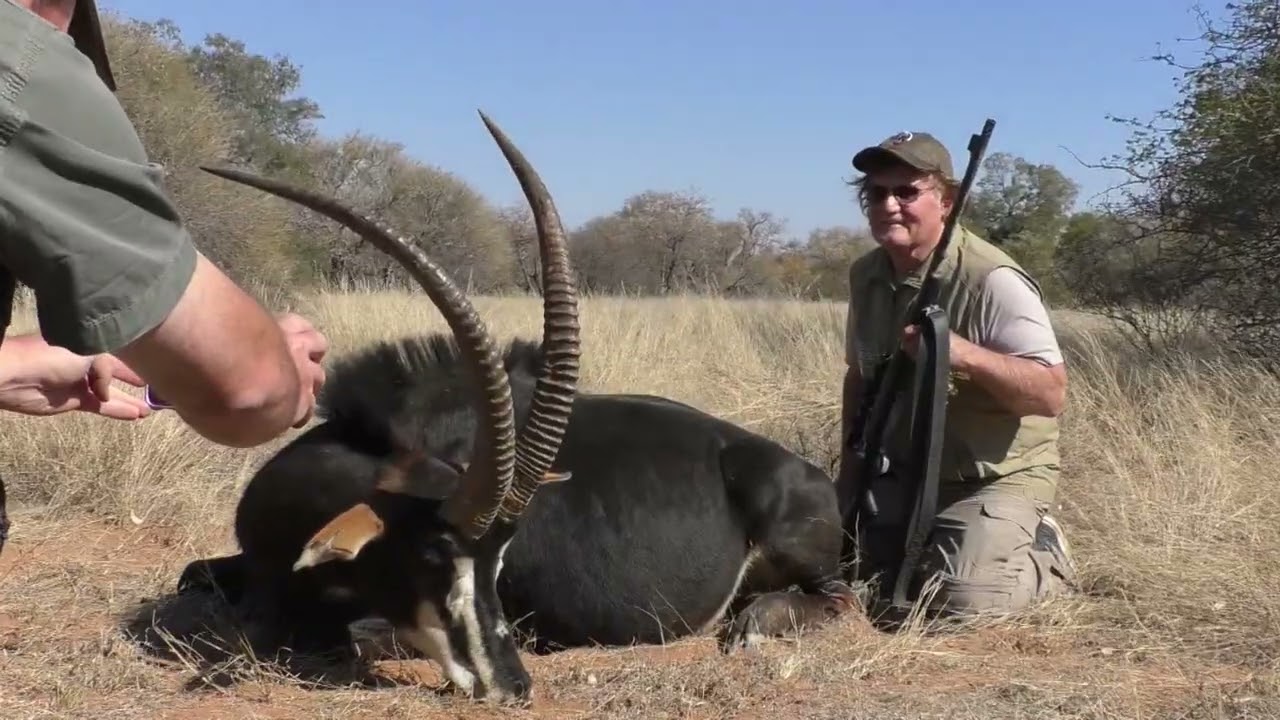 Zander Bierman Safaris - Sable Hunt with TOM COLLET 2023
