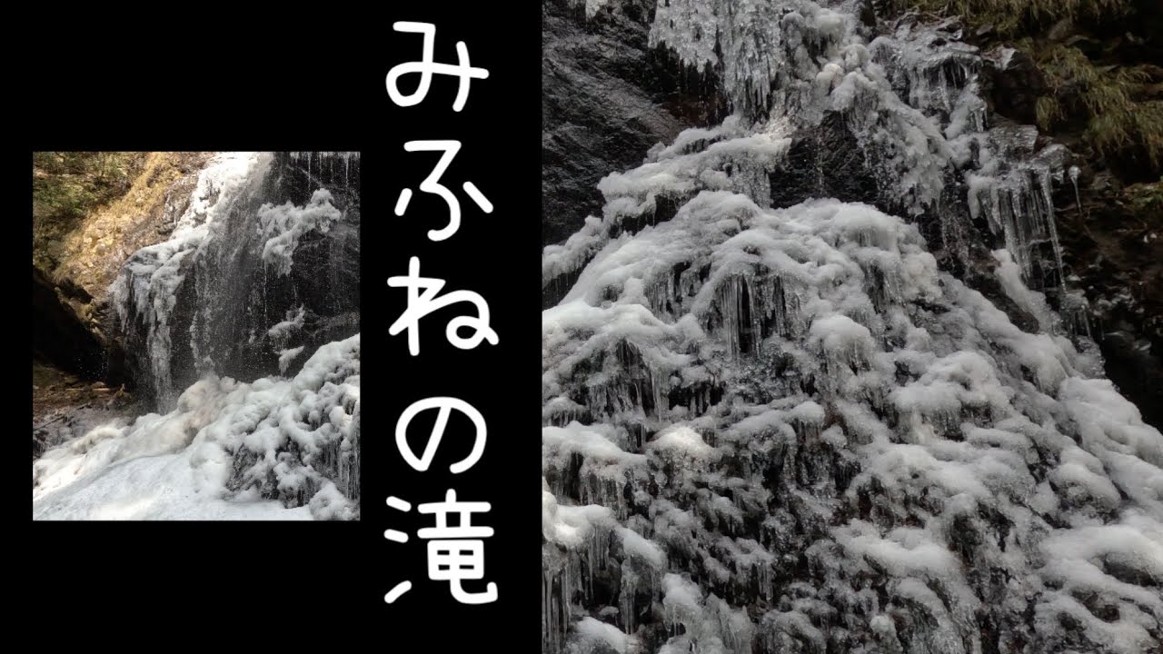 氷瀑❄️  これが最も美しいタイミングに違いない　Ice fall Nara 2026年2月20日 