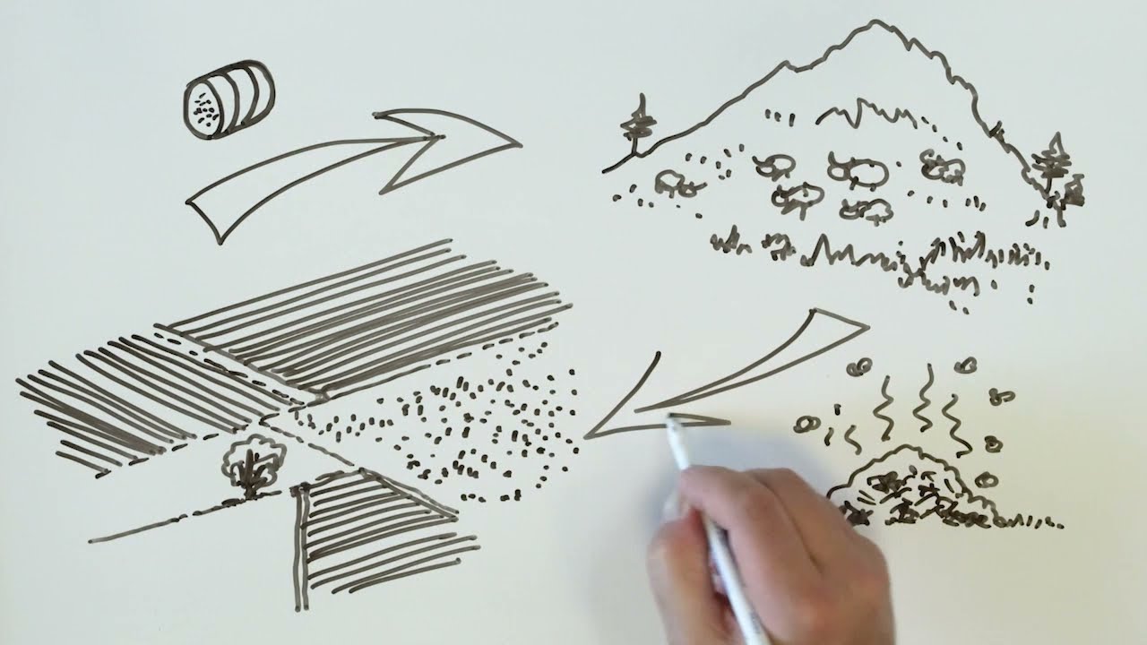 Trame Verte et Bleue : Comment les paysages peuvent-ils &ecirc;tre favorables &agrave; la biodiversit&eacute; ?