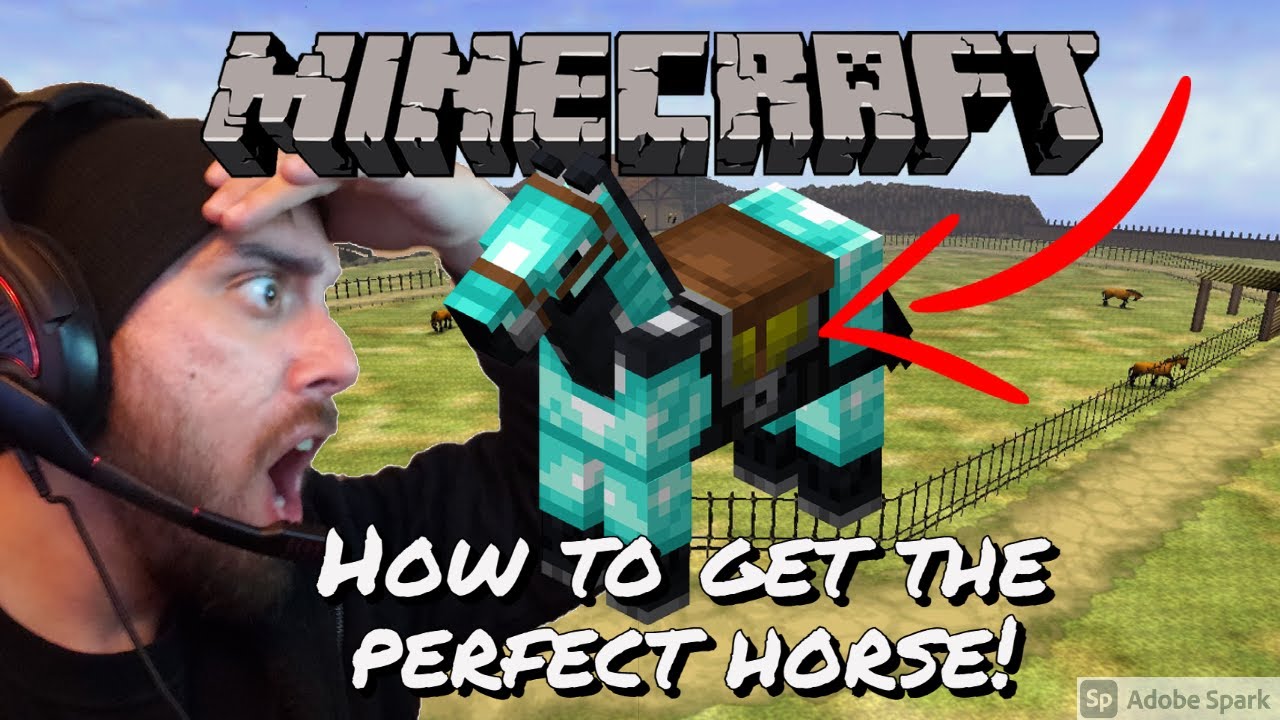 Minecraft Horse Guide 1.20 l How to get the Best Horse in Survival Minecraft Horse Tutorial 1.19