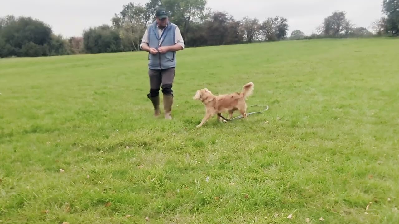 Mr Ollie