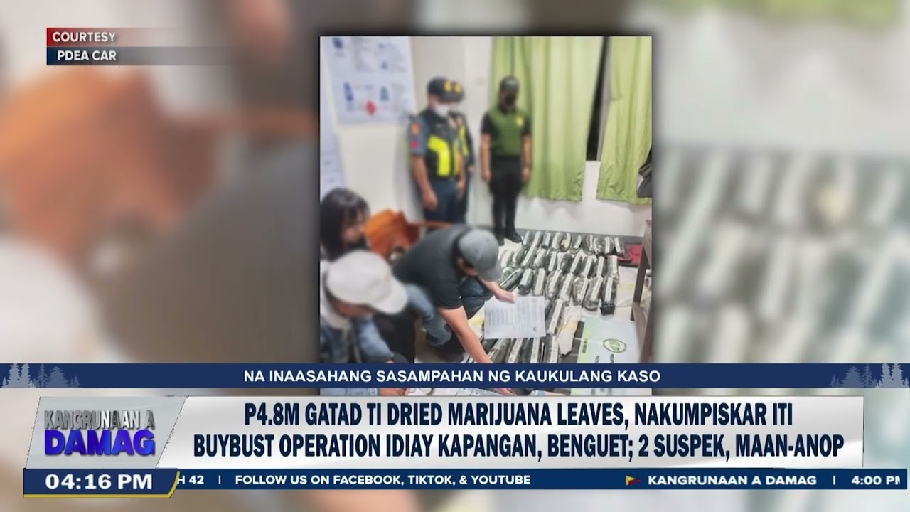 P4.8M gatad ti dried marijuana leaves, nakumpiskar iti buybust operation idiay Kapangan, Benguet