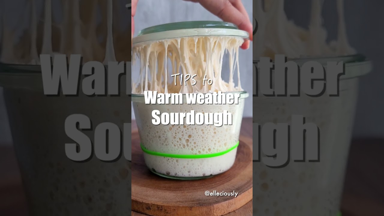 Sourdough Tips:Warm Weather Baking! Some pro tips FROM SOMEONE WHO LIVES IN COUNTRY ALWAYS SUMMER