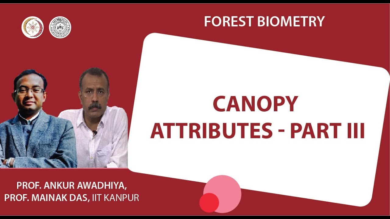 Canopy attributes - part III