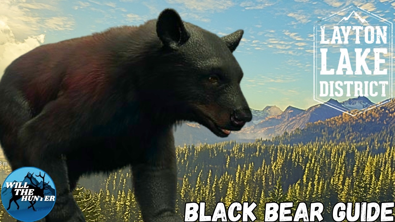 Руководство по чёрным медведям в Лейтон-Лейкс | TheHunter Call Of The Wild 24/25