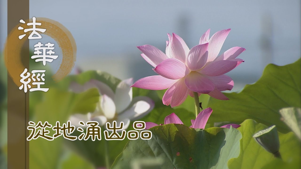 【靜思妙蓮華】法華經從地涌出品 - 他方請願 佛即止之 - 20230717 第1459集