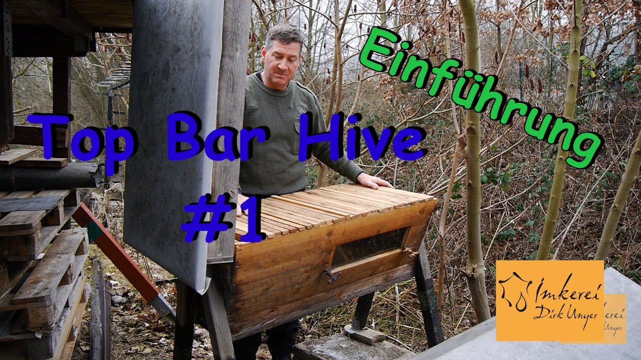 Top Bare Hive #1 - Einführung