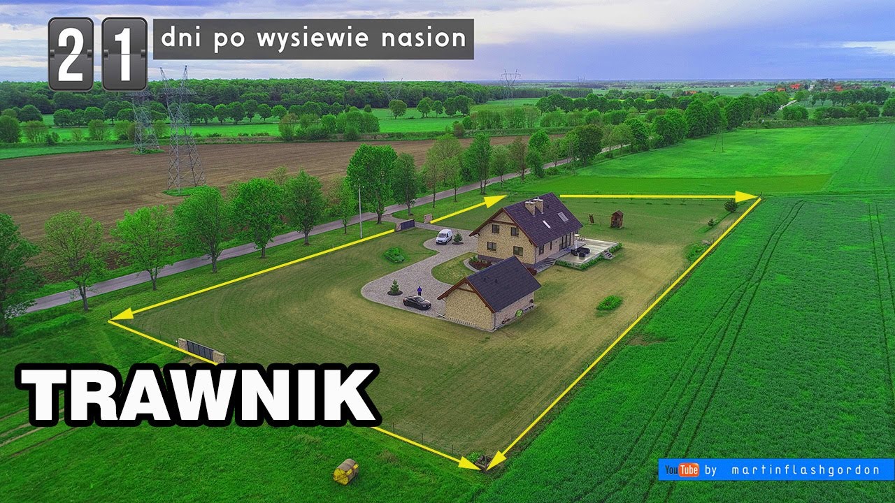 Как выглядит газон через 21 день после посева сеялкой Sembdner