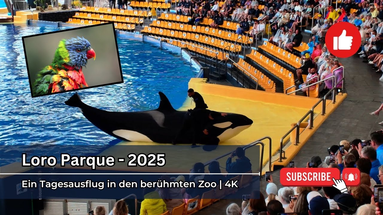 Loro Parque Teneriffa – Faszinierende Tiere & kritischer Blick | 4K, 2025
