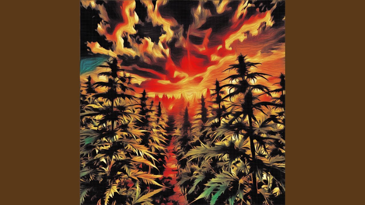 Organic Outdoor