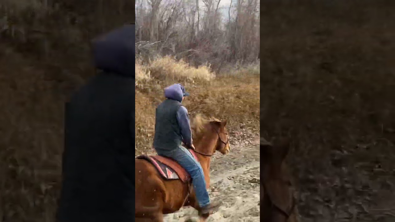 Ending 2023 with a beach lope #camilleshorsemanship  #camilleshorses #westernlifestyle #secwepemc
