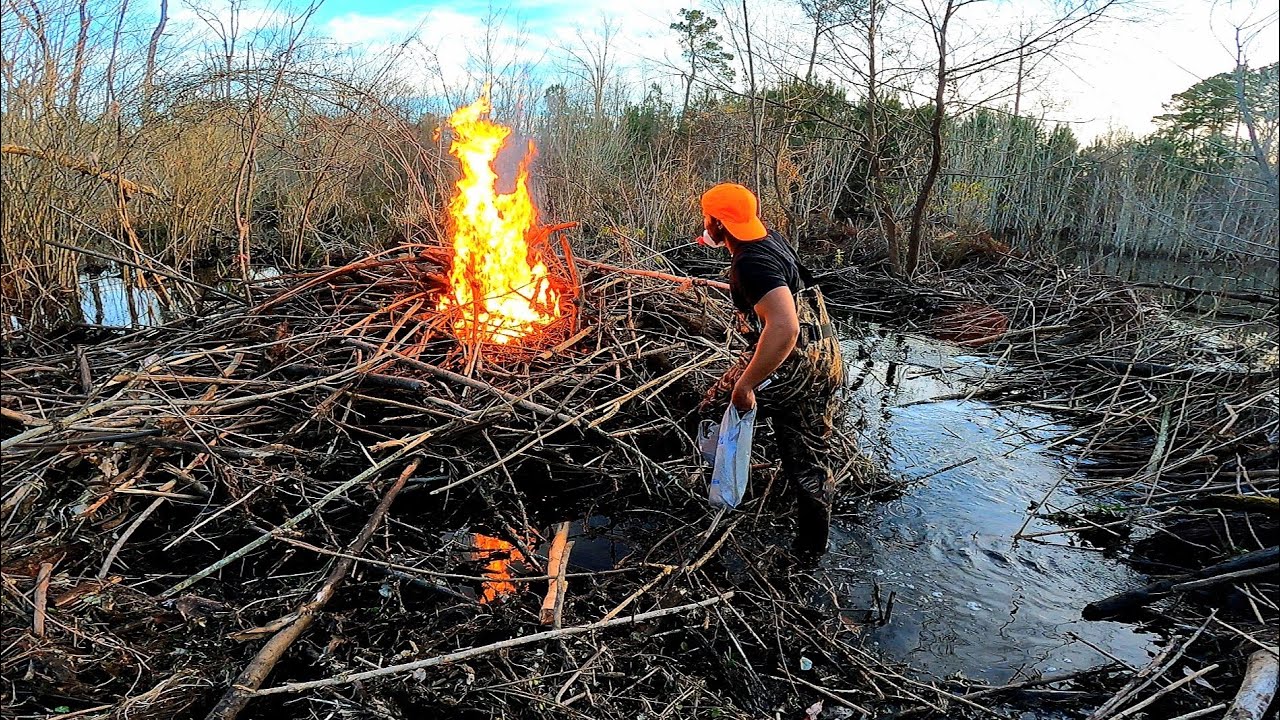 Burning In The Swamp! || BEAVER DAM REMOVAL IN GATOR CREEK! S4 EP.6!