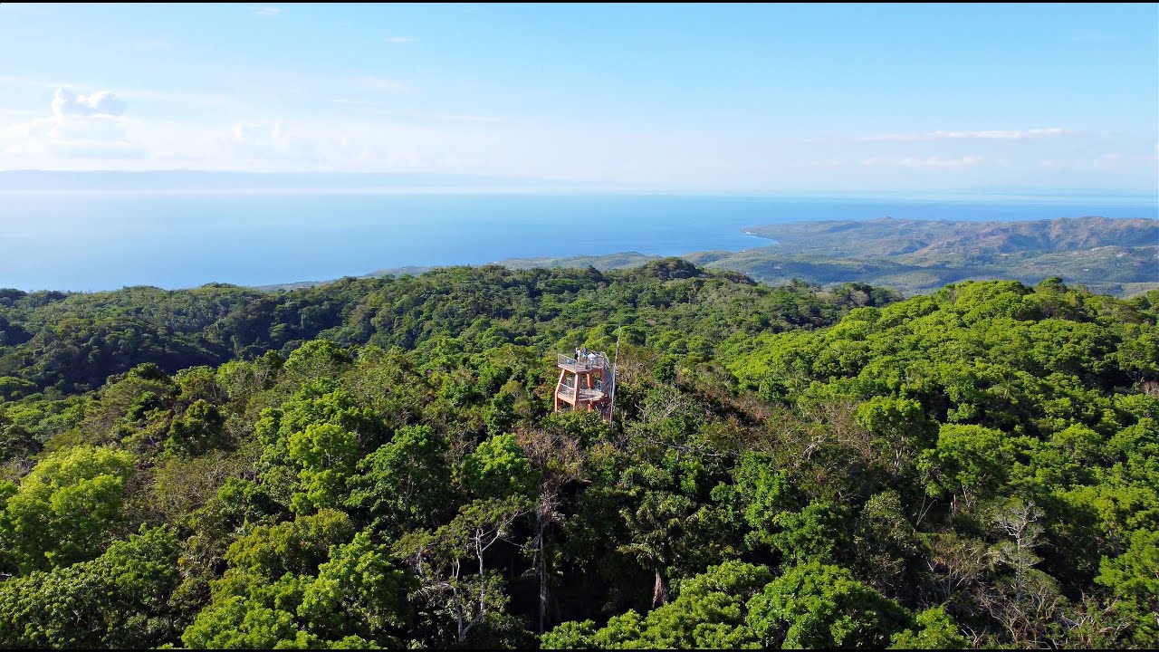 The Highest Point on Siquijor Island Philippines Mount Bandilaan Walking Tour