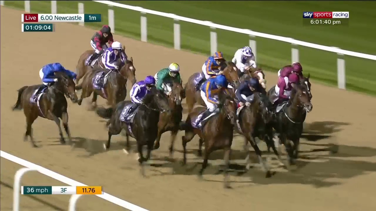 Kameko - Group 1 Vertem Futurity Trophy 2019