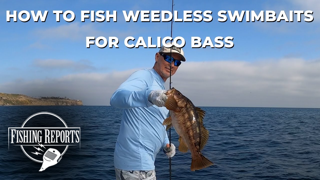 How to fish weedless swimbaits for calico bass - SoCal Bight FISHING ACADEMY Ep. 13