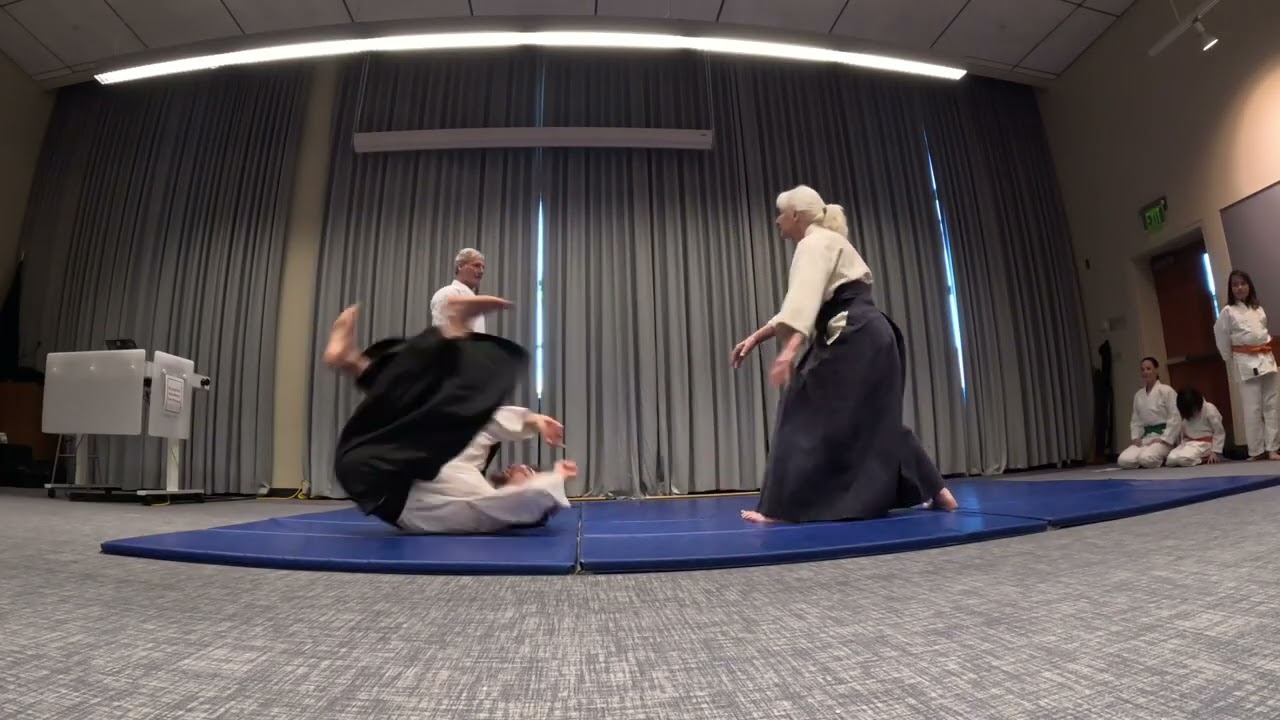 Ashland Aikido demo 1