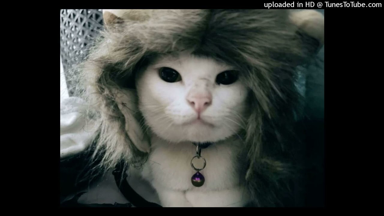 sstepnb+ step team + zackavelli type beat 