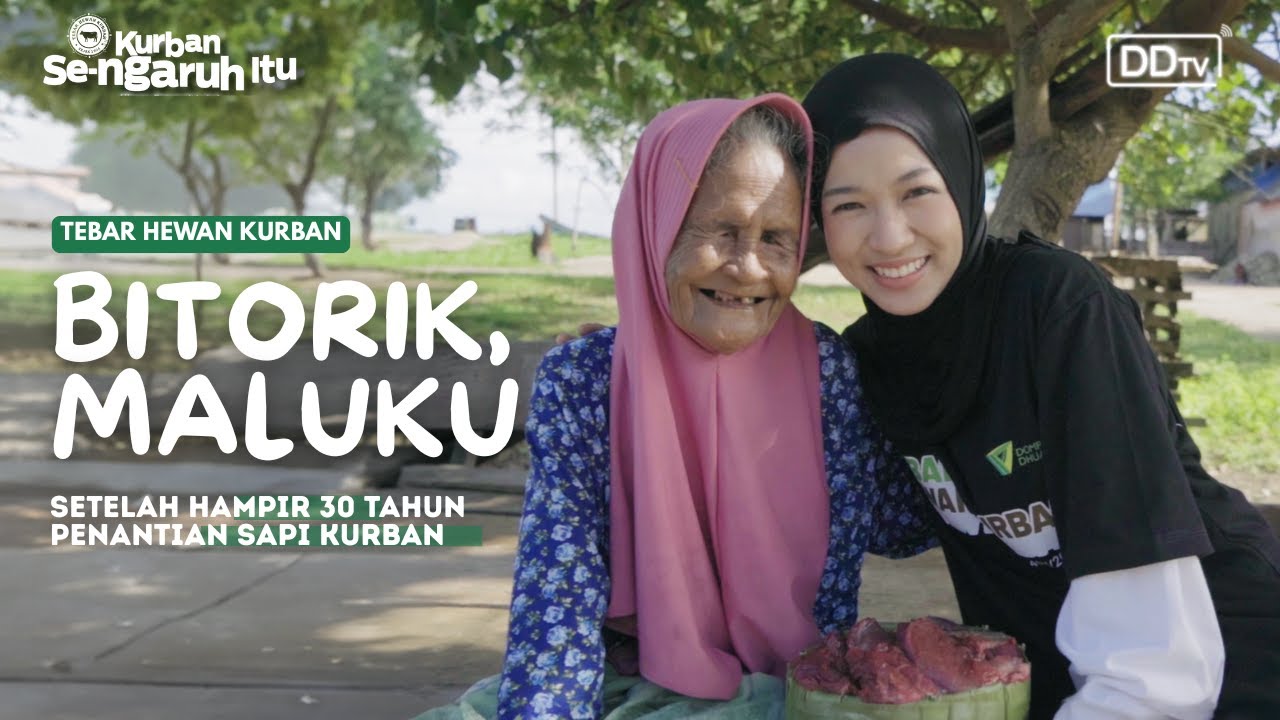 Hampir 30 Tahun Penantian Sapi di Bitorik, Maluku | Tebar Hewan Kurban 2025