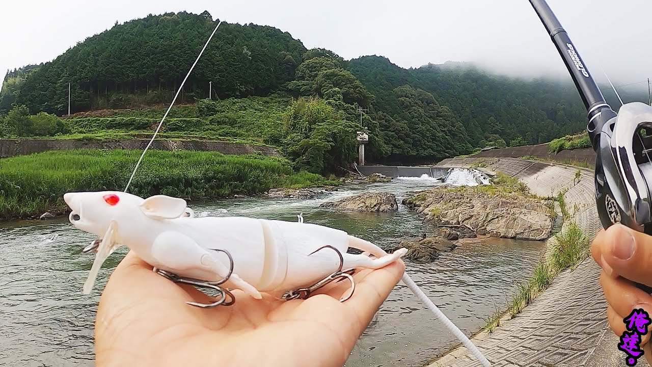 激流の中に白いネズミを泳がせると…