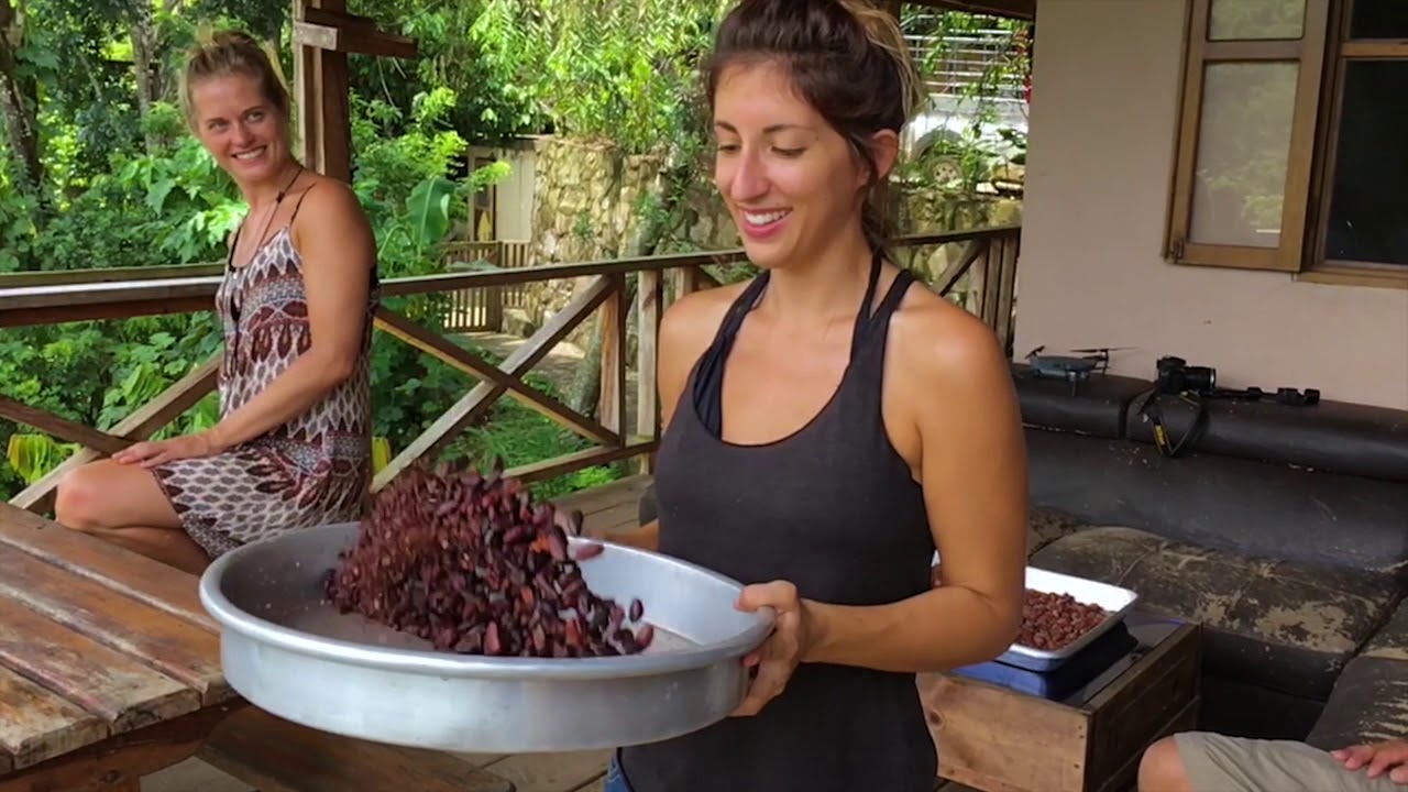 Utopia Eco Hotel HD
