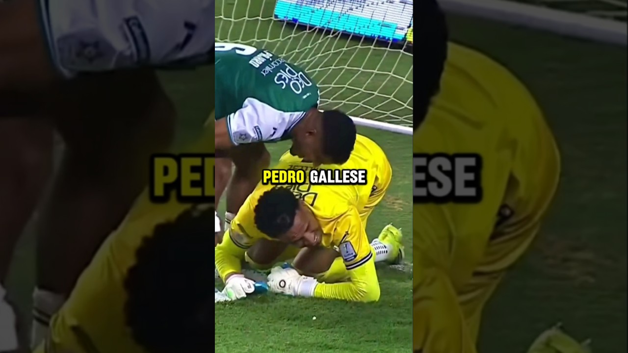 Pedro Gallese vuelve a sorprender a toda Colombia con tremendas atajadas