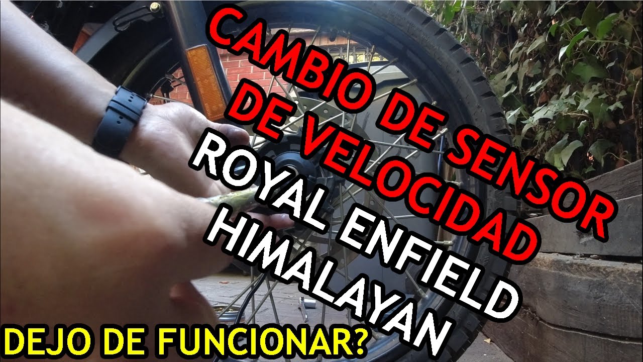 ROYAL ENFIEL HIMALAYAN BS4 / Cambiar Sensor de Velocidad 🏍️🛵