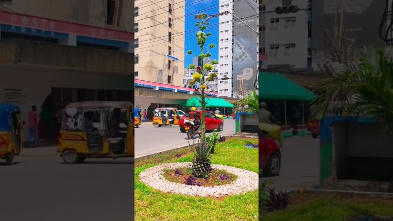 Real Life In Mombasa City 4K 🇰🇪 #mombasa #kenyancities #urbantour