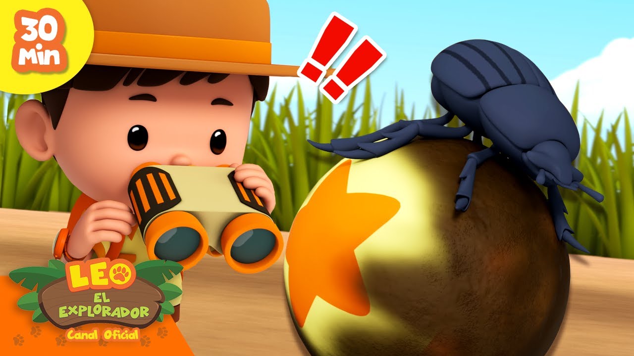 ¡¿ESTOS ANIMALES NO TIENEN COLUMNA VERTEBRAL?! 🦴 | ¡Invertebrados! | Leo, El Explorador | Animación