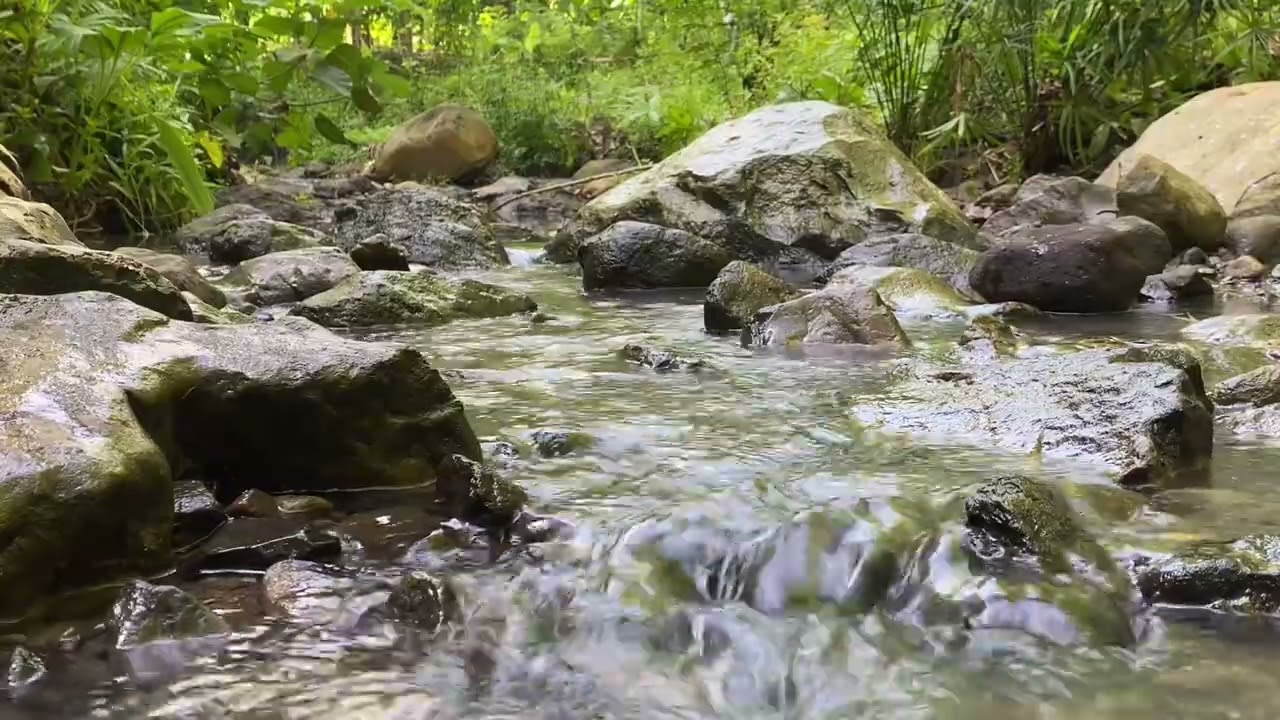 Purest Sounds of Water for INSTANT Sleep ❘ ASMR Water ❘ 1Hour