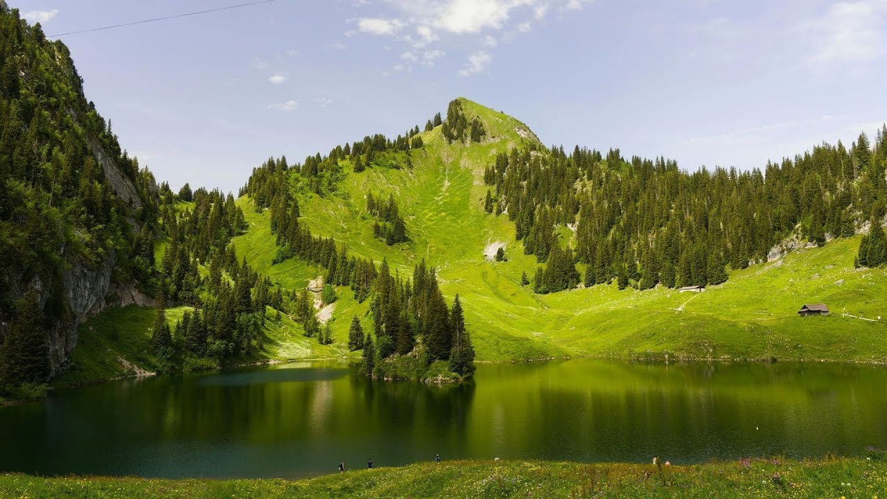 Soul Retreat in Nature🌿Calm Music for Stress Release & Deep Sleep