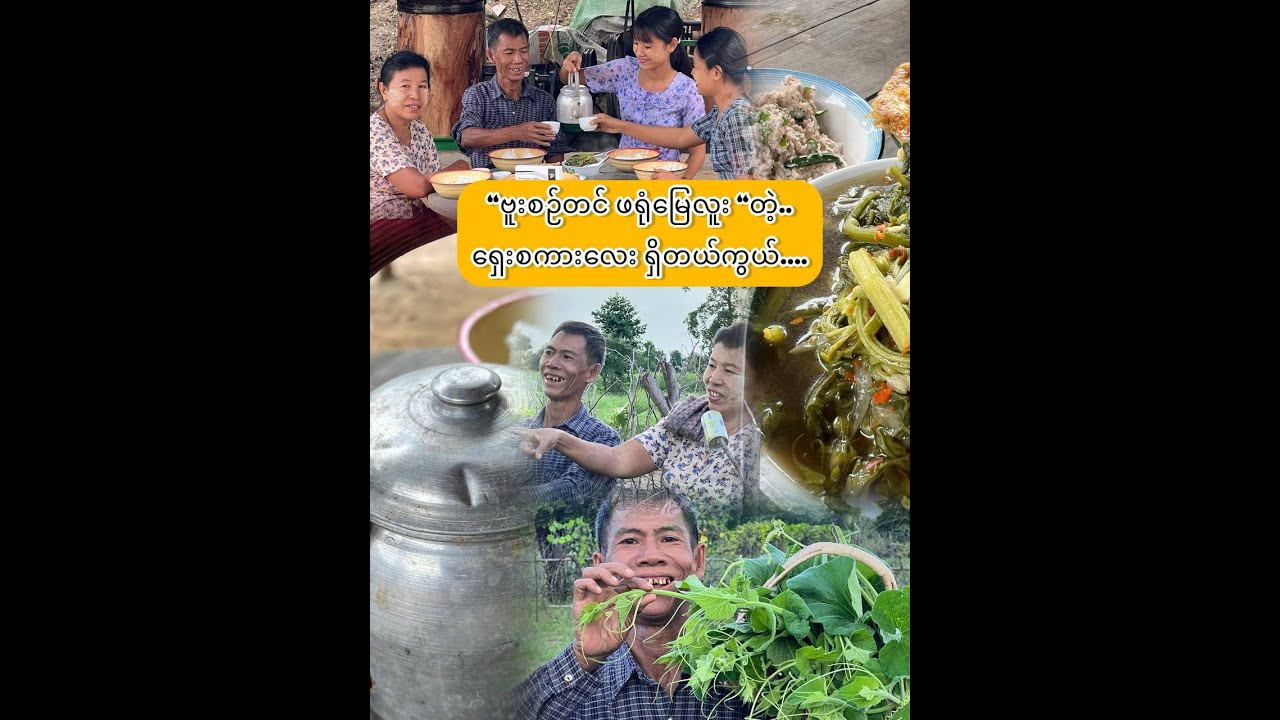 “အခုခူး အခုချက် ဗူးရွက်ငပိချက်နဲ့ မြိန်..”