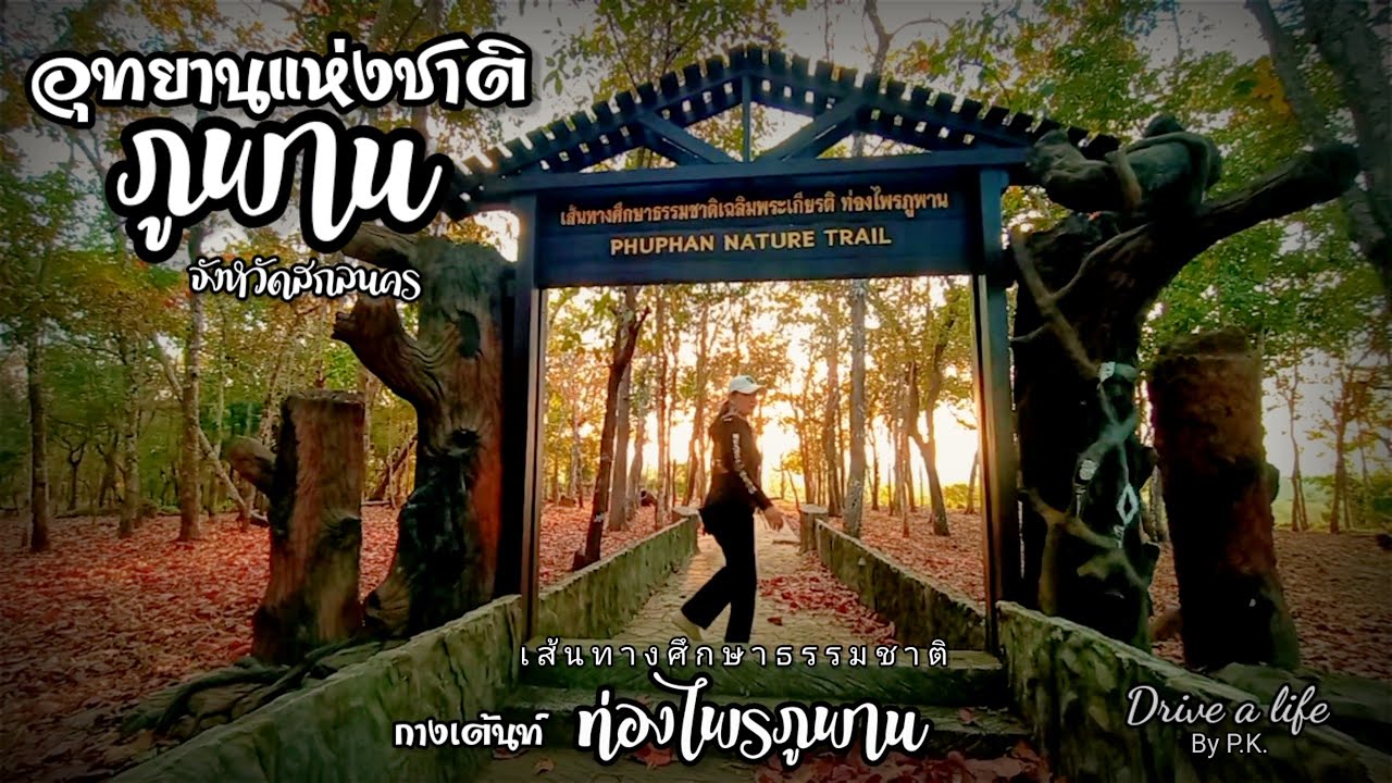 อุทยานแห่งชาติภูพาน ท่องไพร กางเต้นท์ นอนผานางเมิน   สกลนคร Drive a life By P.K.