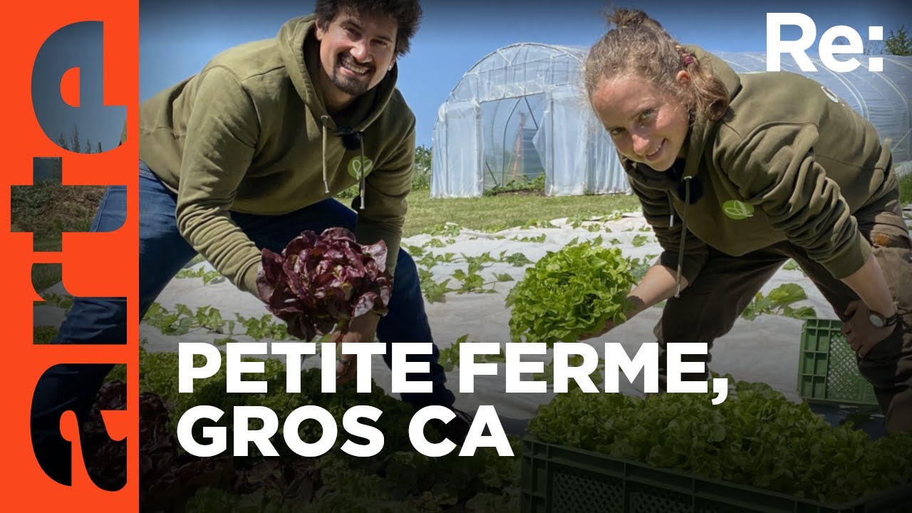 Microfermes, des exploitations très rentables | Reportage (2023) | ARTE Regards