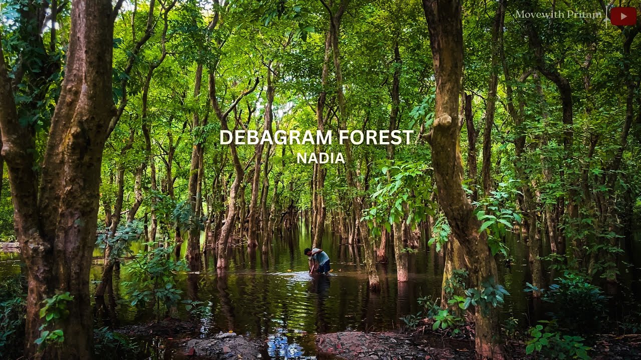 Debagram Forest | 1 Day Trip From Kolkata | Offbeat Place | @movewithpritam