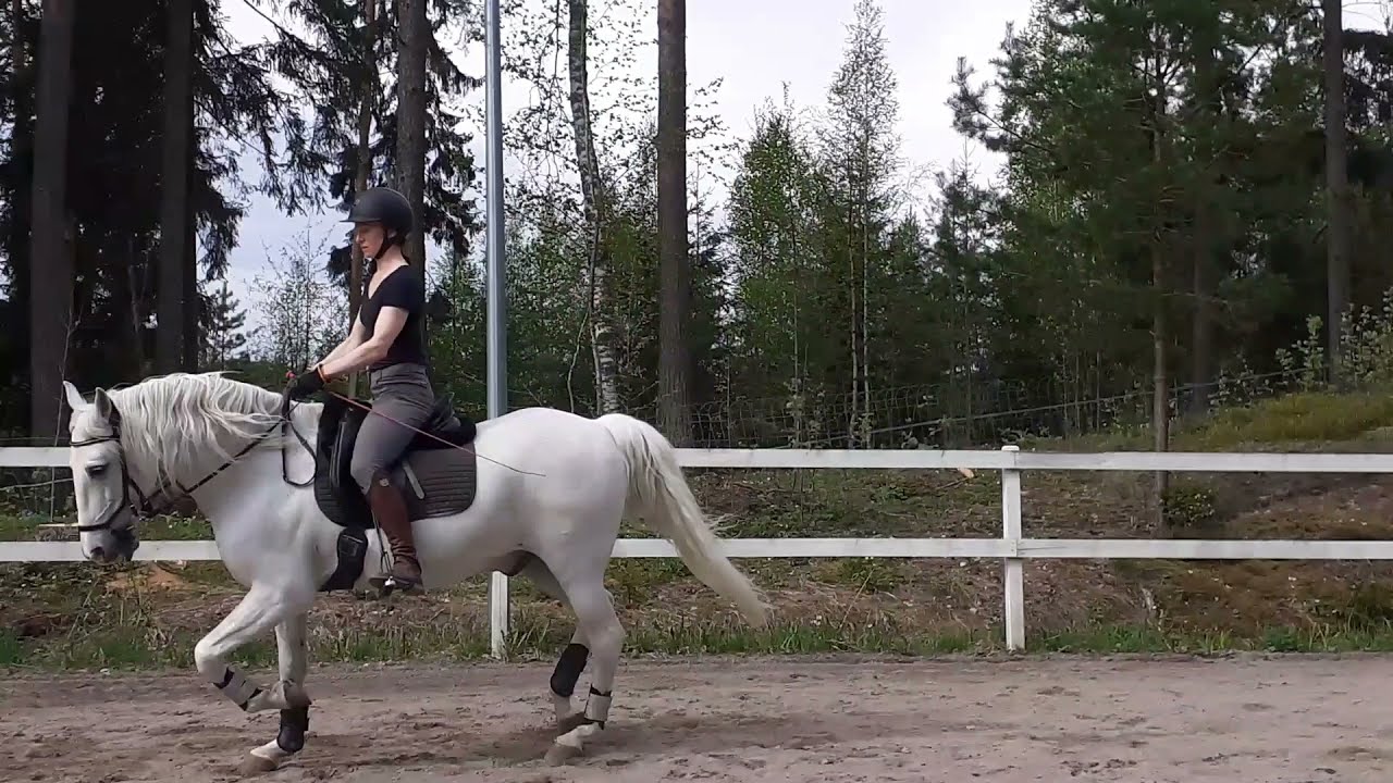 Keventäminen ravissa +tavallisimmat virheet (osa 2)(ratsastajan istunta)