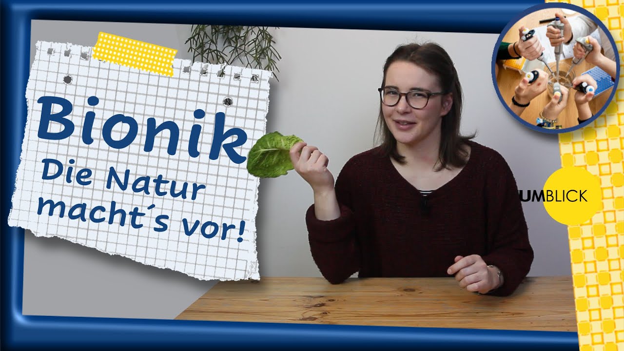 Bionik - Die Natur macht's vor! + DIY Experimente