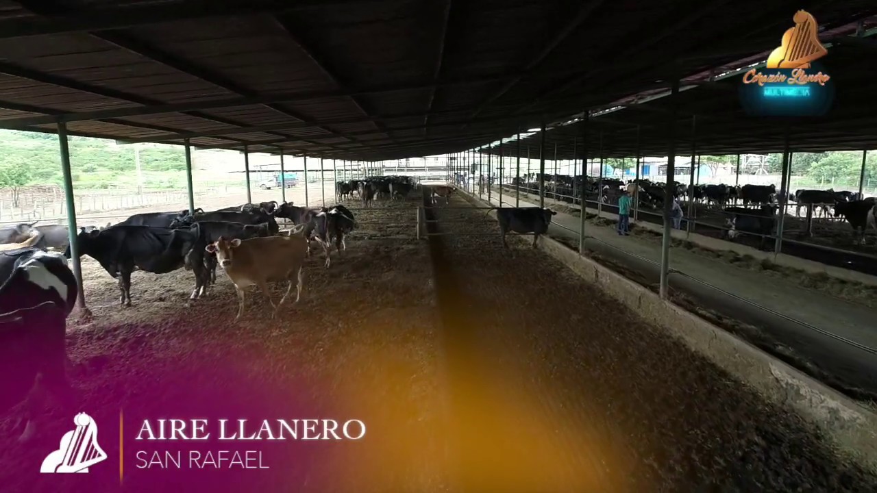 SAN RAFAEL |  AIRE LLANERO