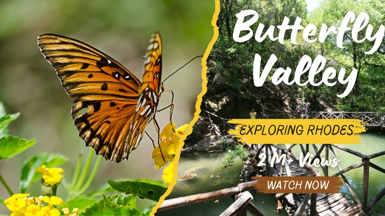 Visiting the unique Butterfly Valley #butterfly #rhodes