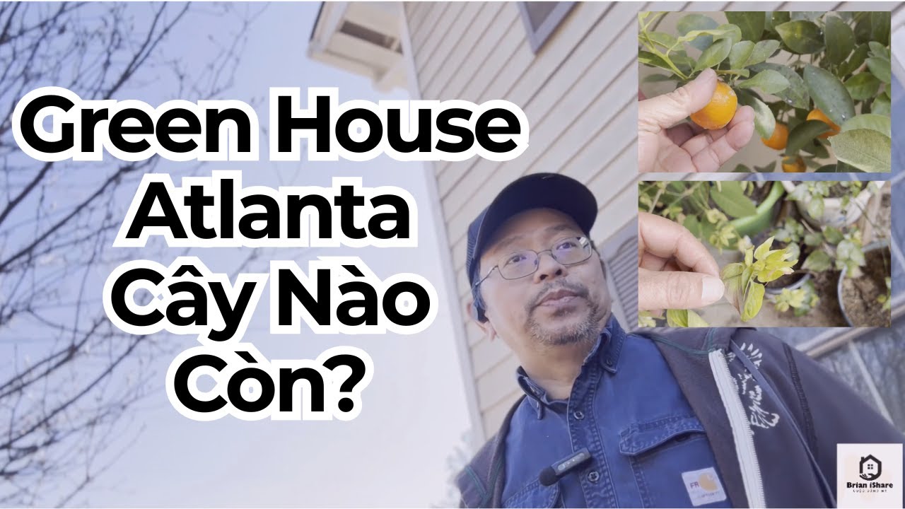 NHÀ VƯỜN MÙA ĐÔNG ATLANTA LẠNH CỠ NÀO?