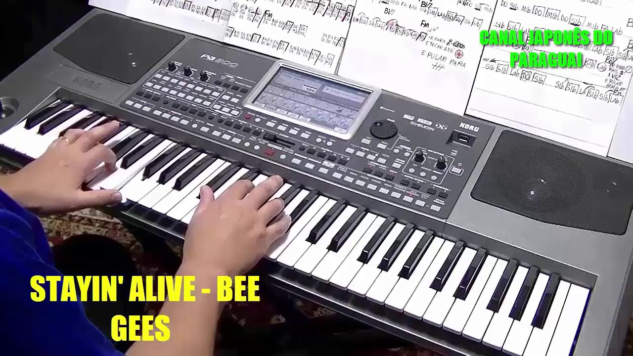 BEE GEES - 6 MÚSICAS TOCADAS